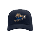 SF Fighting Wiener Dogs Fitted Navy Hat