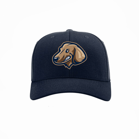Youth SF Fighting Wiener Dogs Fitted Navy Hat
